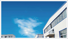 秦安：岁末年初冲刺忙 出产线上春潮涌_我国经济网——国家经济门户